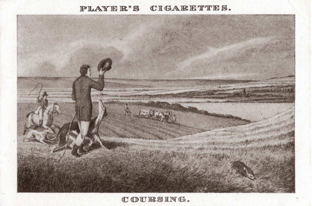 Coursing-1, 1924. af Unbekannt