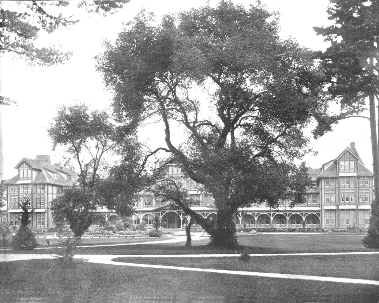 Del Monte, Monterey, Californien, USA, c1900. af Unbekannt