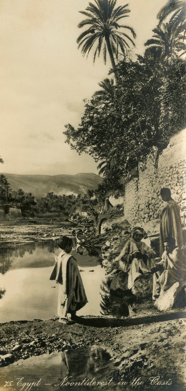 Egypten - Noontiderest in the Oasis, c1918-c1939. af Unbekannt