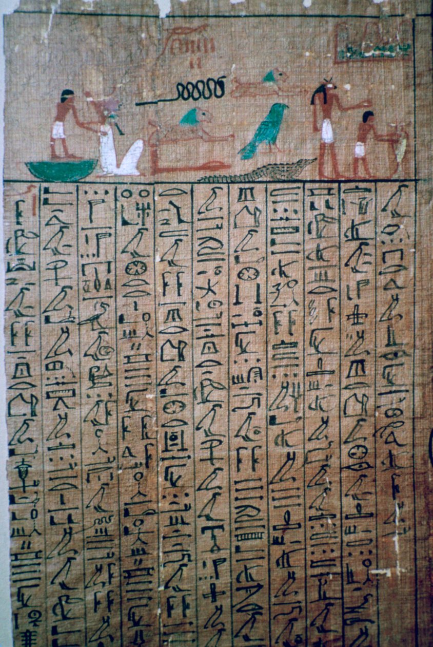 Egyptiske hieroglyffer fra en dødebog af Unbekannt