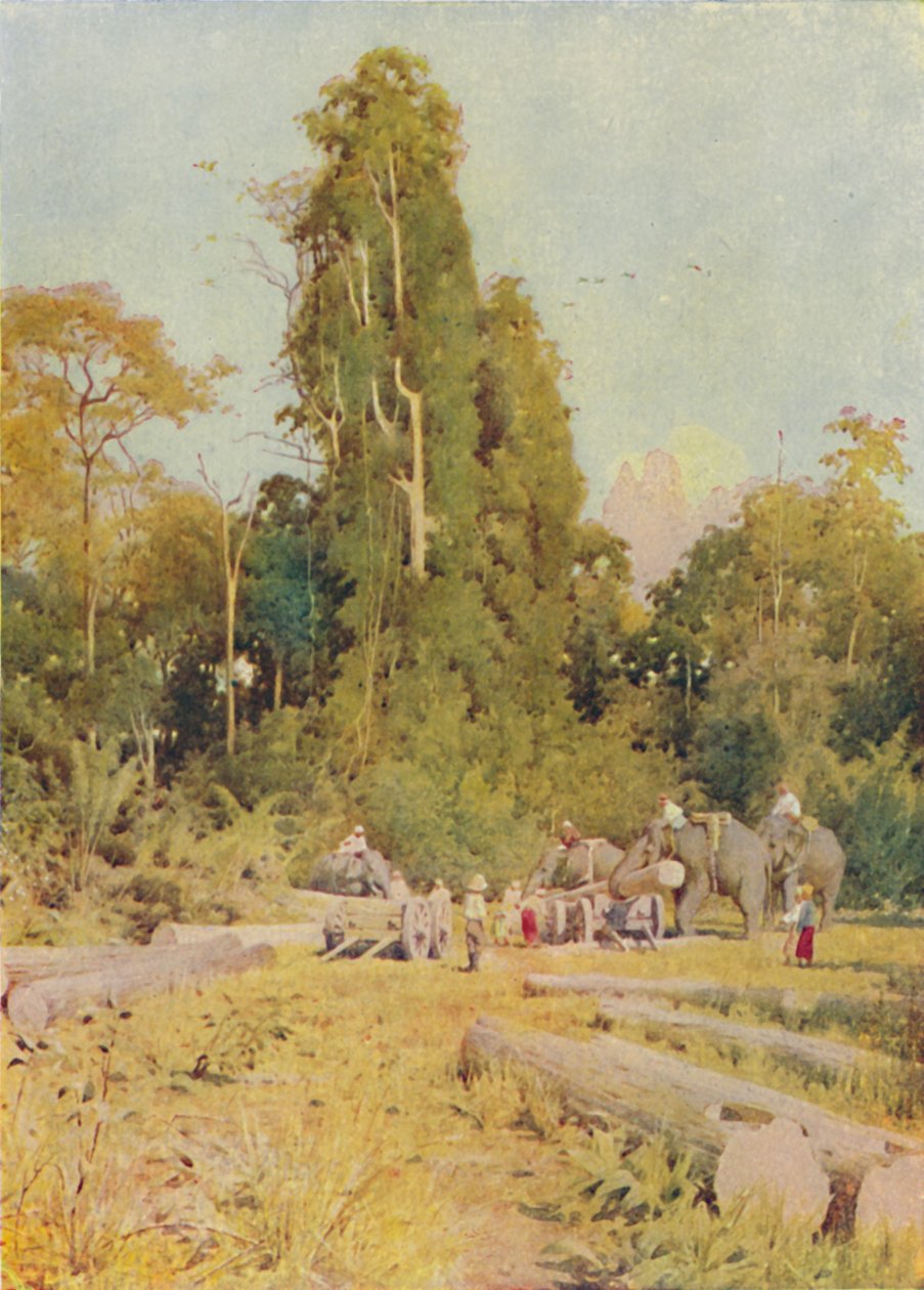 Elephants Piling Teak, 1924 af Unbekannt