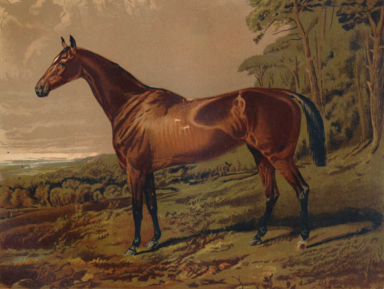 Fair Nell, c1879. af Unbekannt
