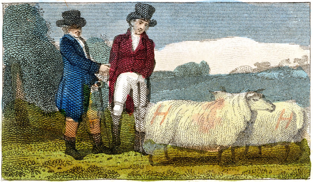 Landmænd diskuterer Dishley New Leicester-får, 1822 af Unbekannt