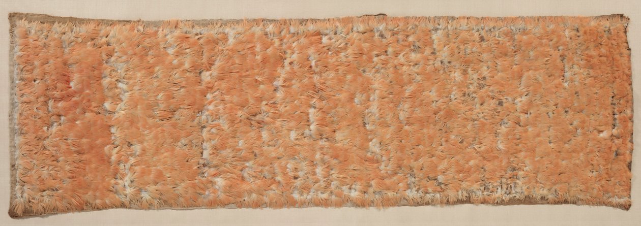 Fjerpanel, 600-1500. af Unbekannt
