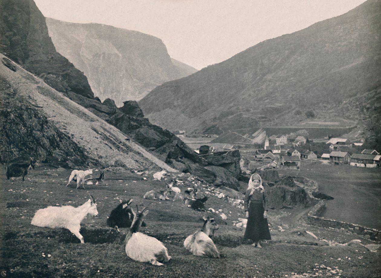 Flaam, 1914. af Unbekannt