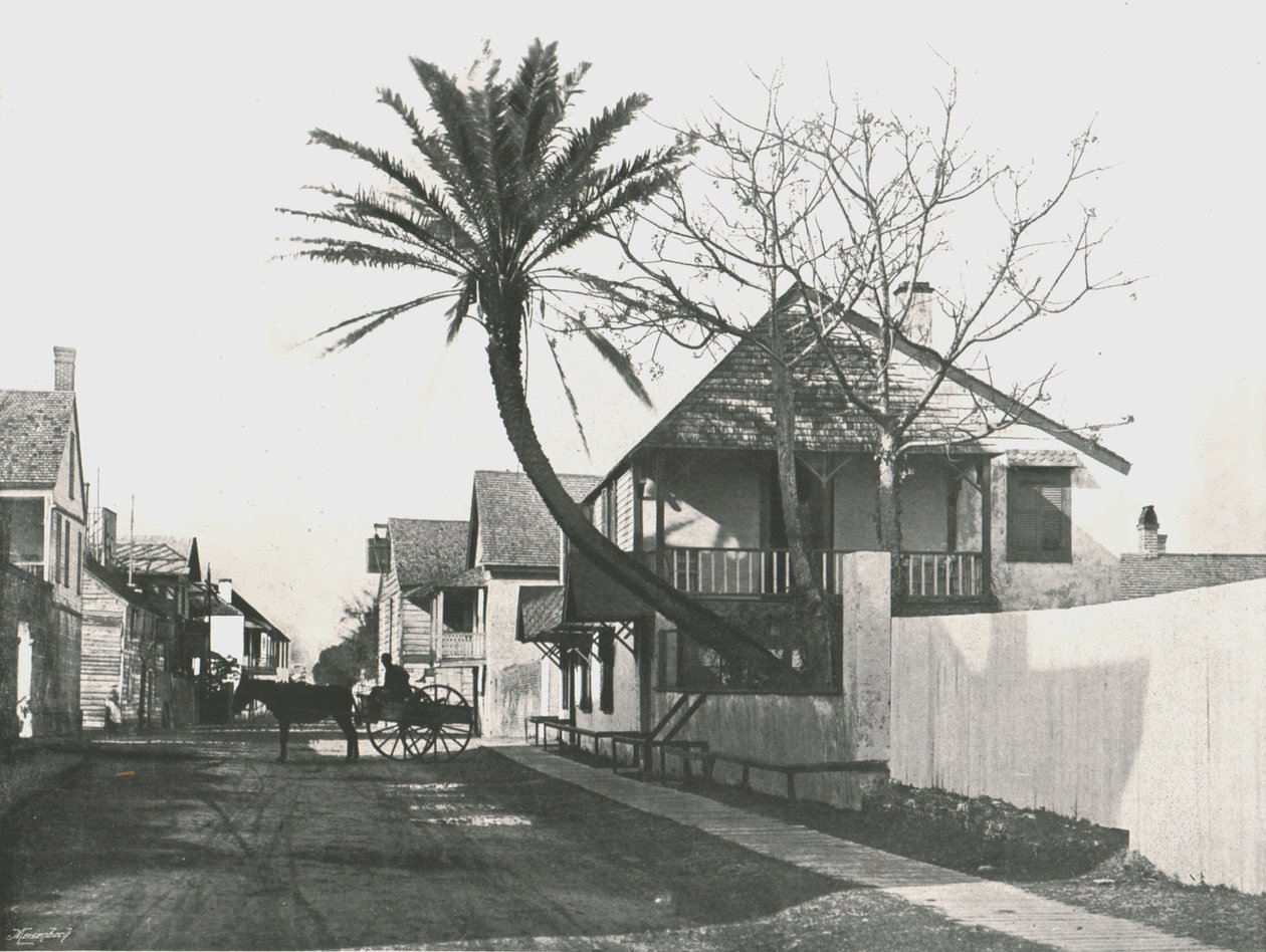 Francis Street, St. Augustine, USA, 1895. af Unbekannt