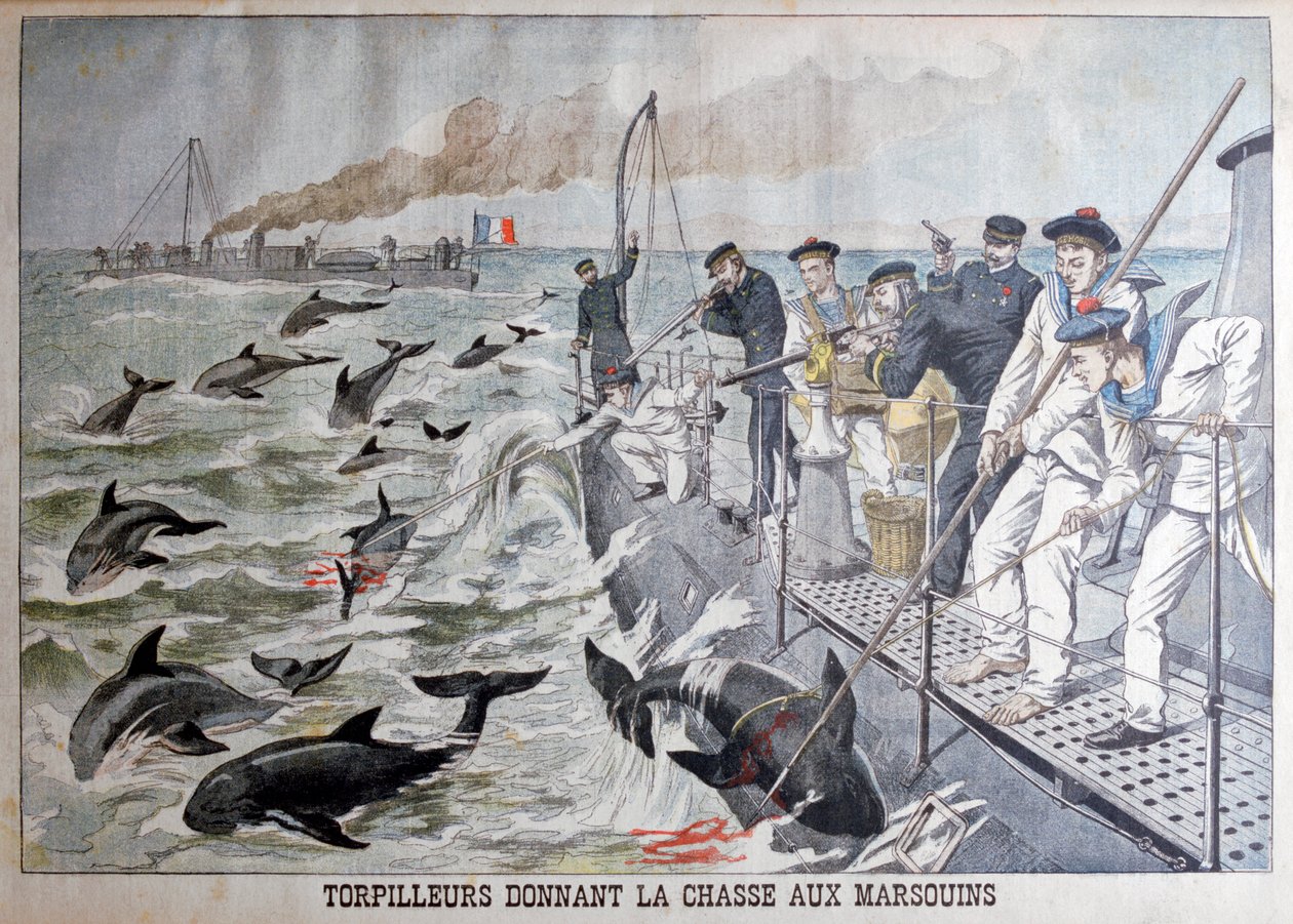 Franske torpedobåde, der jager marsvin, 1903 af Unbekannt