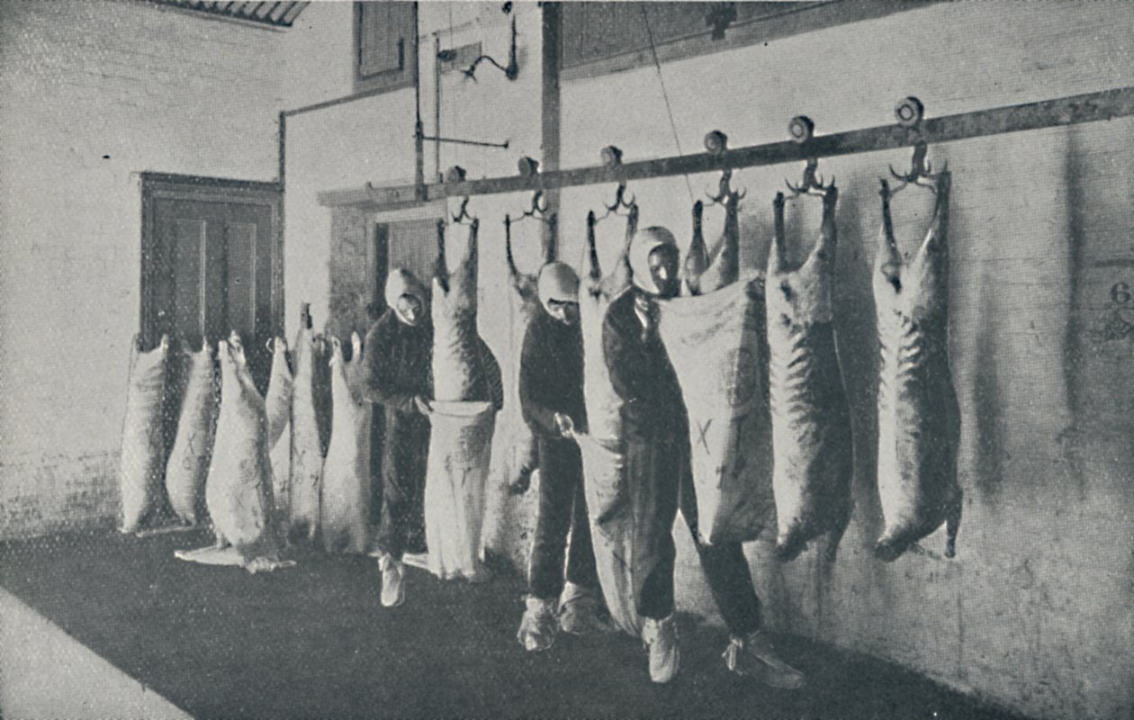 Frosset kød, 1910 af Unbekannt