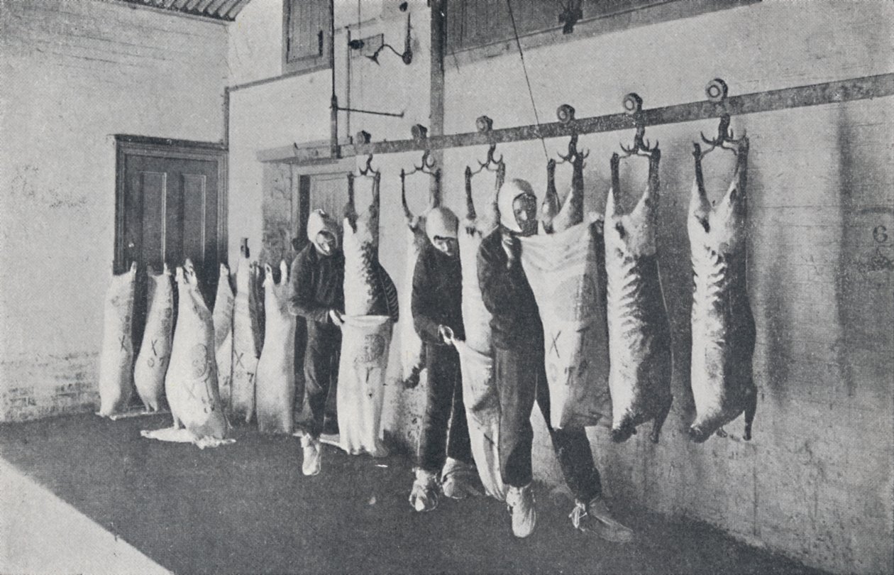 Frosset kød, 1923. af Unbekannt