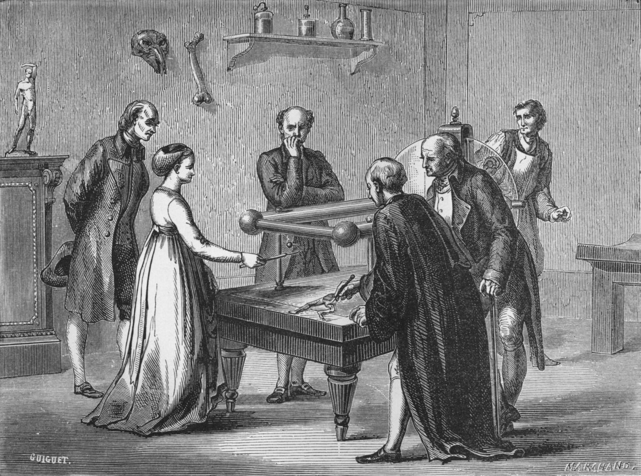 Galvanis opdagelse, 1780 1894 af Unbekannt