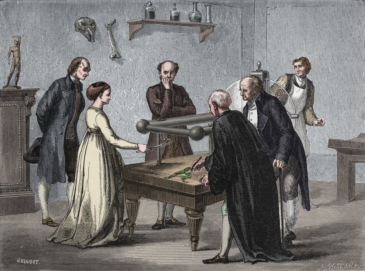 Galvanis opdagelse, 1780 1894 af Unbekannt