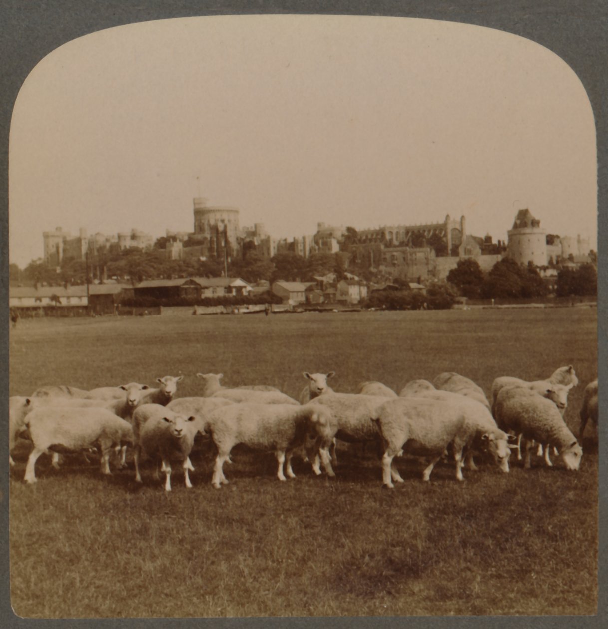 General View Windsor Castle, England, 1896. af Unbekannt