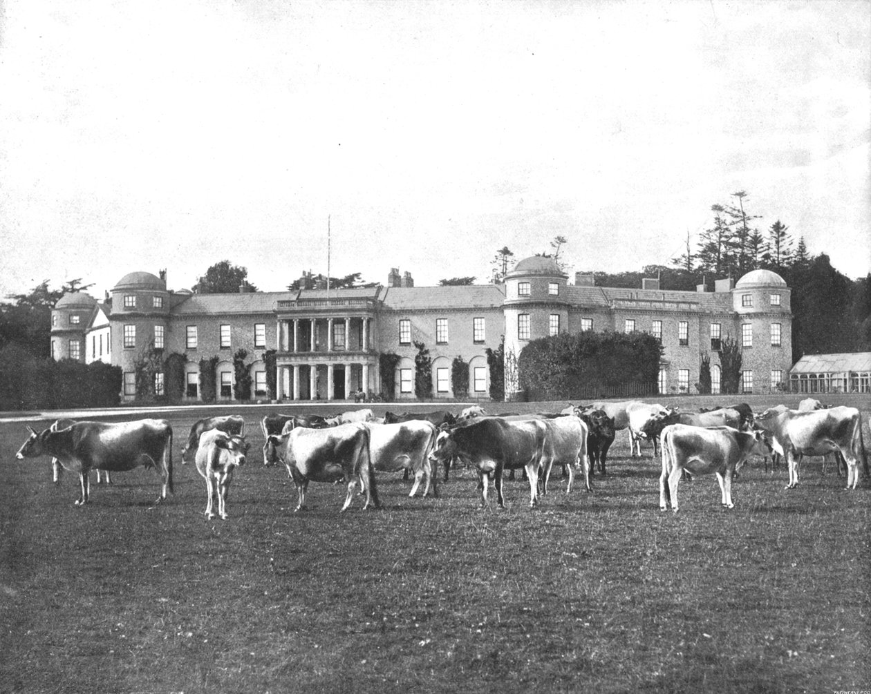 Goodwood, Hampshire, 1894. af Unbekannt