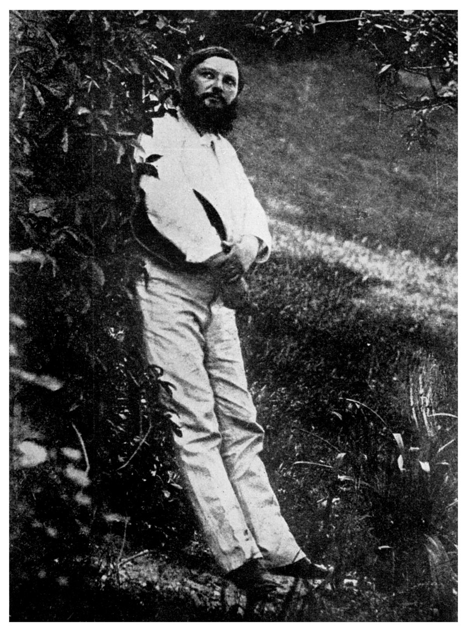 Gustave Courbet, fransk kunstner, 19. århundrede 1956 af Unbekannt