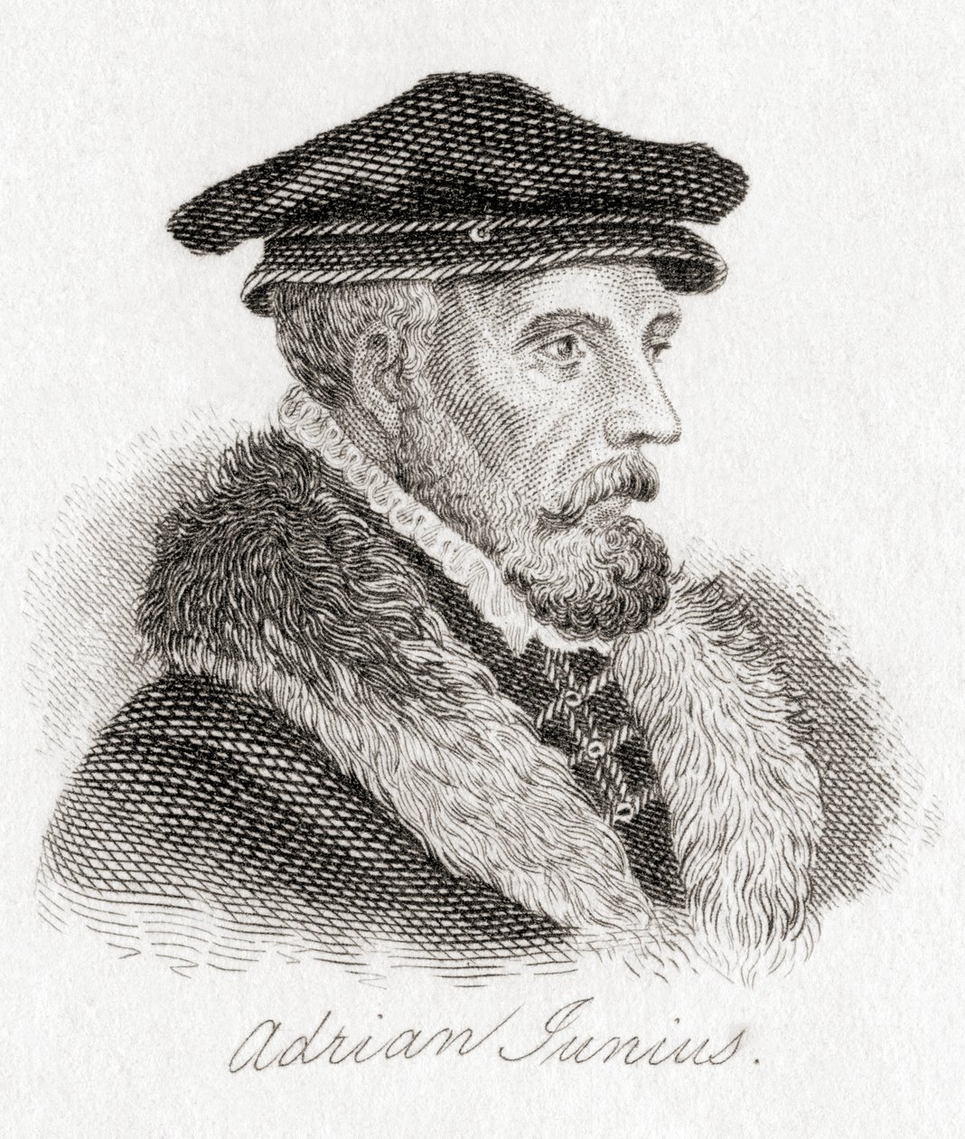 Hadrianus Junius, 15111575, alias Adriaen de Jonghe. af Unbekannt