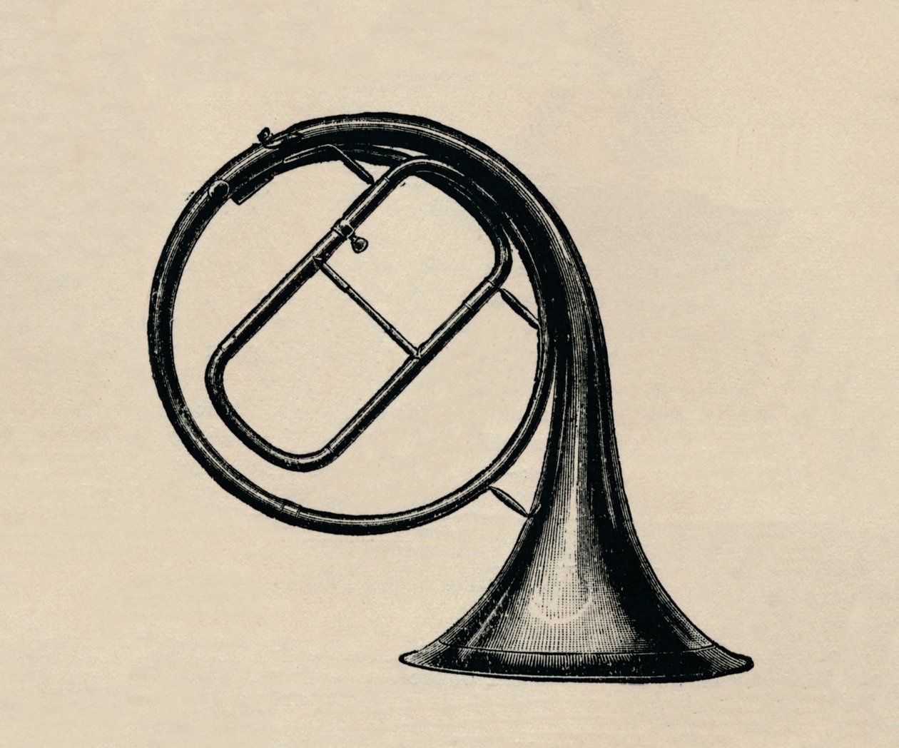 Håndhorn, 1895. af Unbekannt