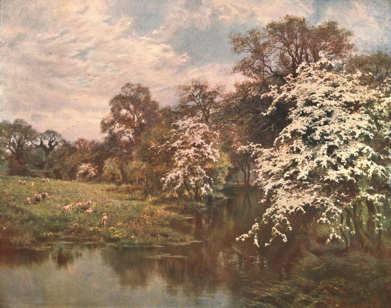 Hawthorn Blossoms, c1899, c1902. af Unbekannt