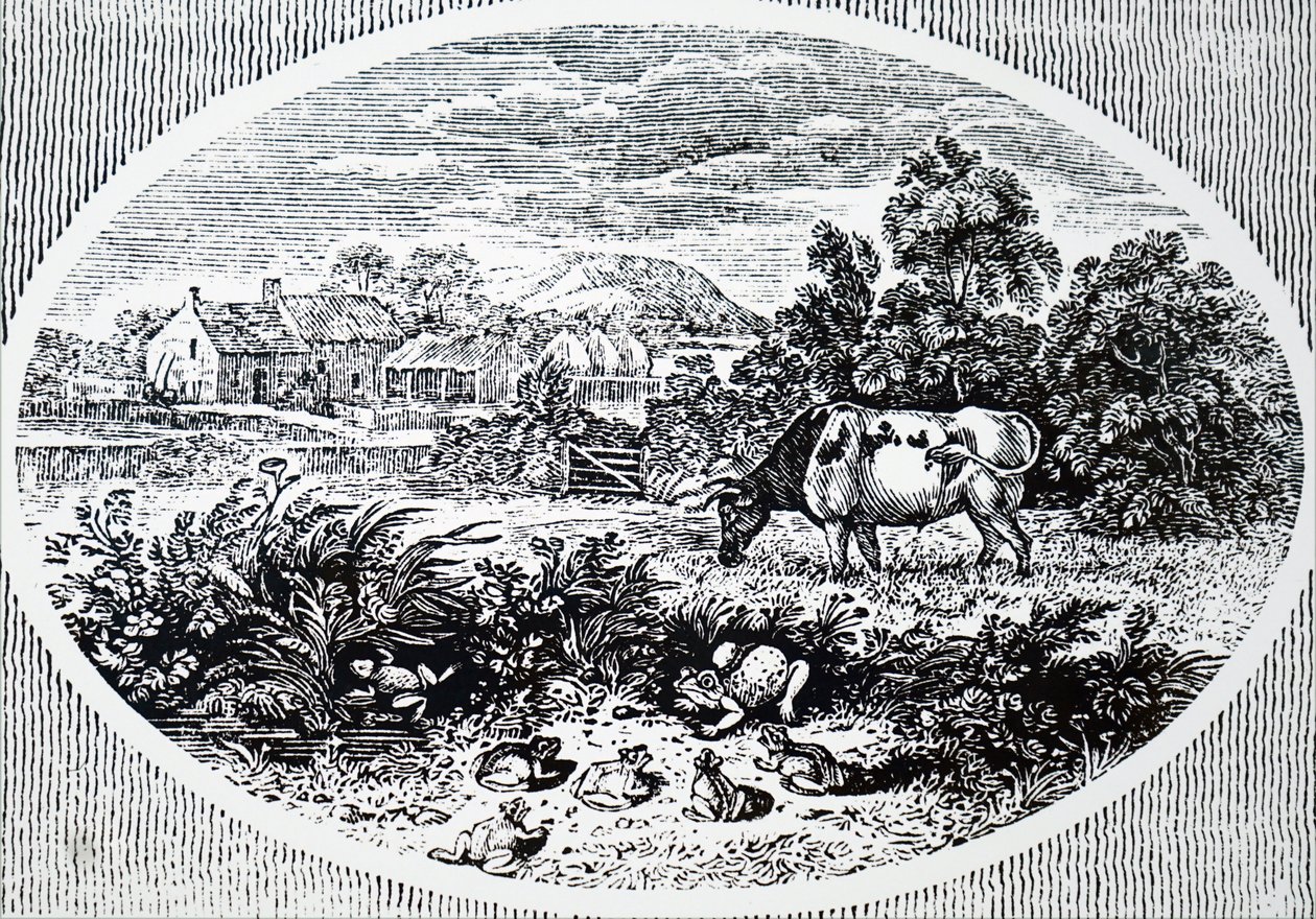 Hovedstykke af Thomas Bewick af Unbekannt