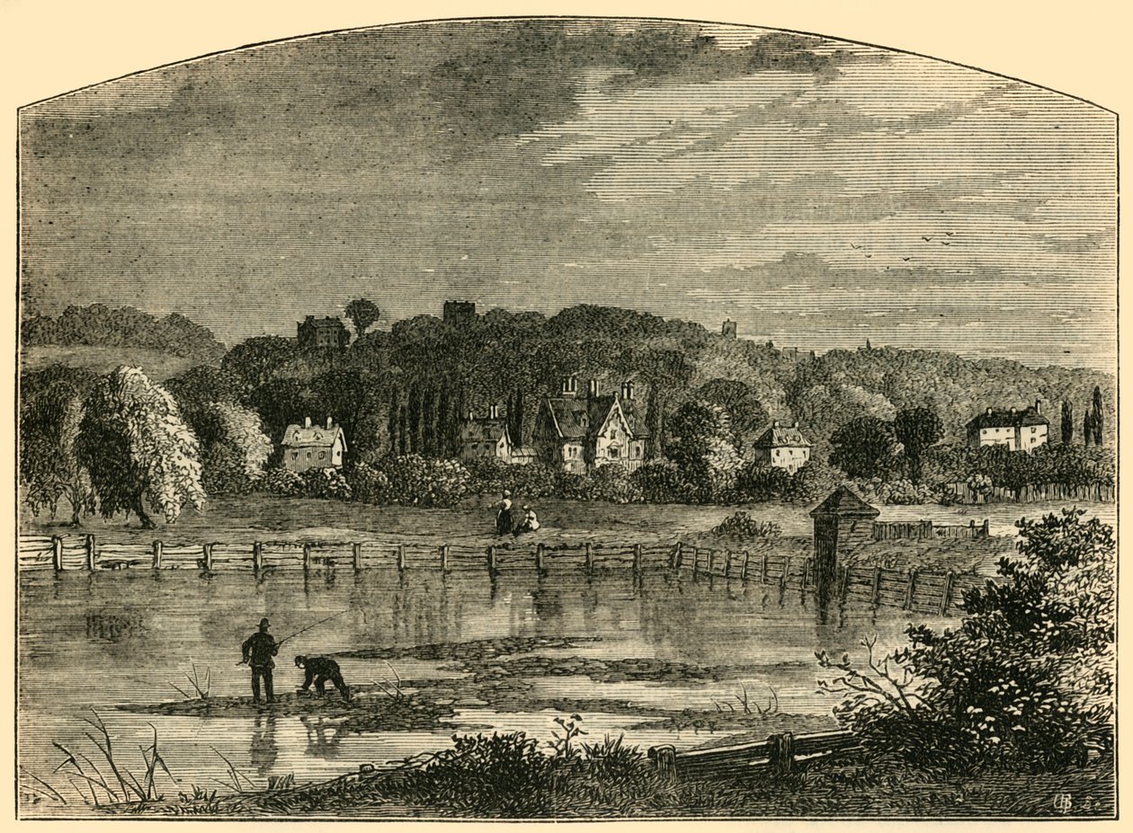 Highgate Ponds, c1876. af Unbekannt