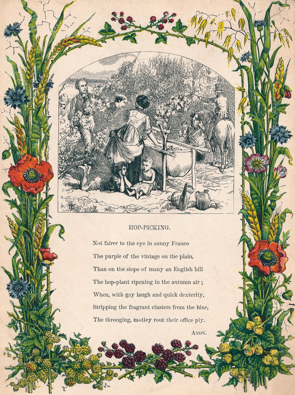Humleplukning, c1900 af Unbekannt