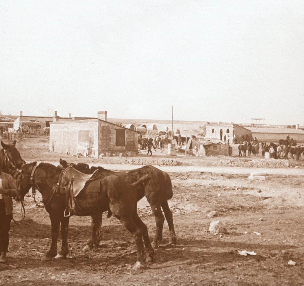 Heste, Somme-Tourbe, Nordfrankrig, c1914-c1918 af Unbekannt