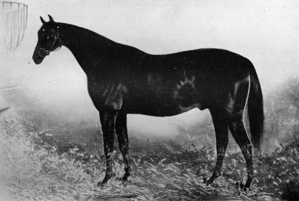 Gæstfrihed, 1800-tallet, 1911 af Unbekannt