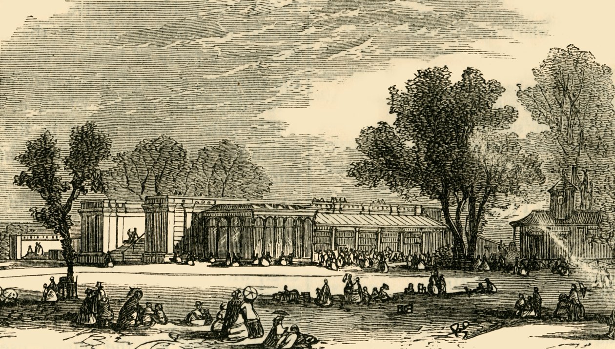 Carnivoraens huse, c1876. af Unbekannt