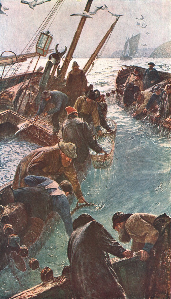 How We Catch the Pilchards, 1895, c1902. af Unbekannt