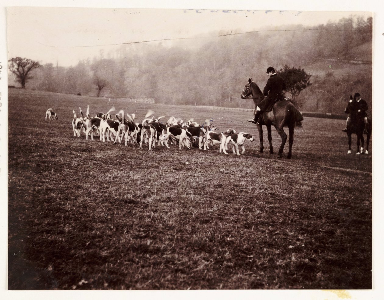 Jæger og jagthunde, c 1905 af Unbekannt