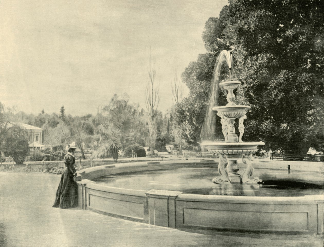 I den botaniske have, Adelaide, 1901. af Unbekannt