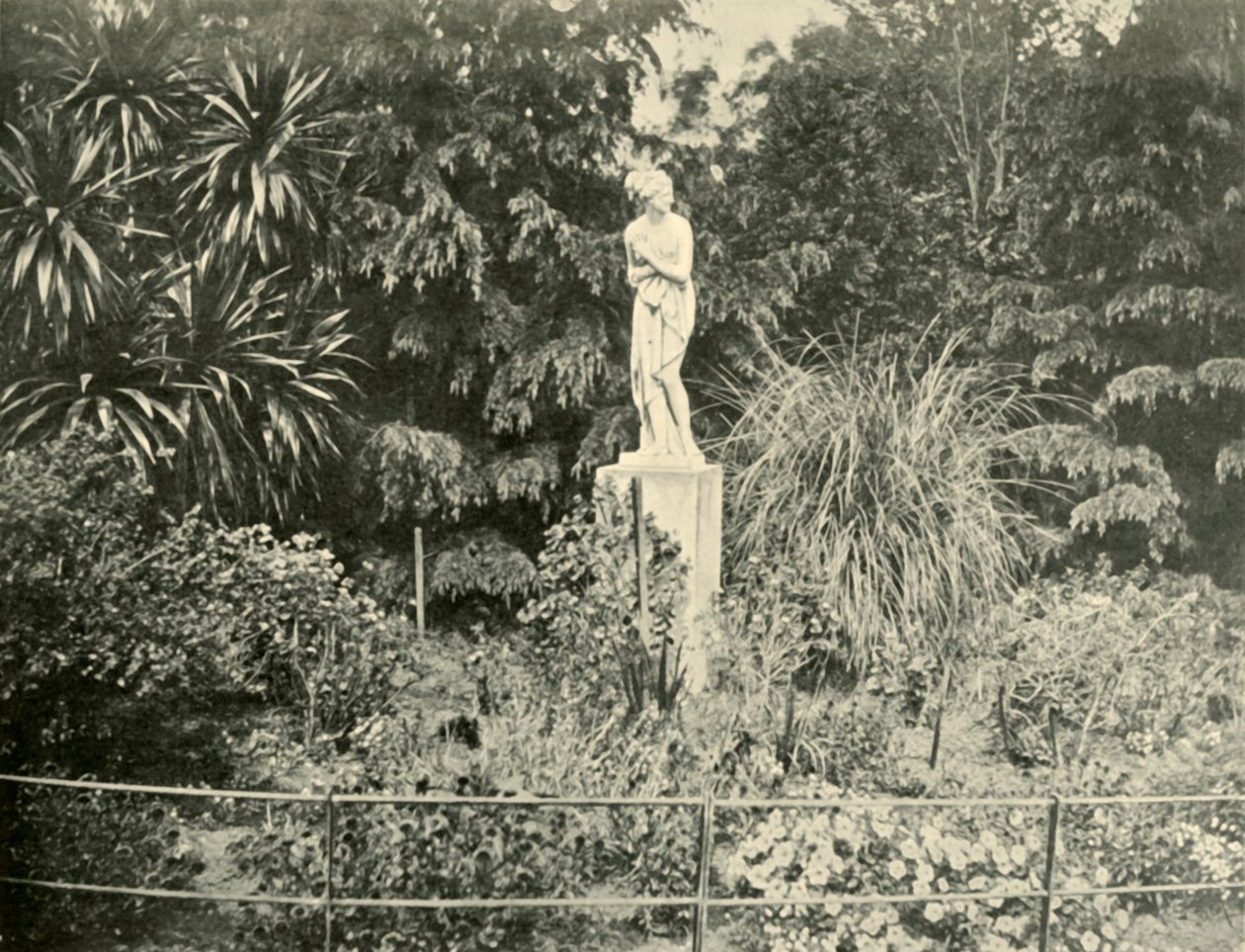 I Fitzroy Gardens, Melbourne, 1901. af Unbekannt