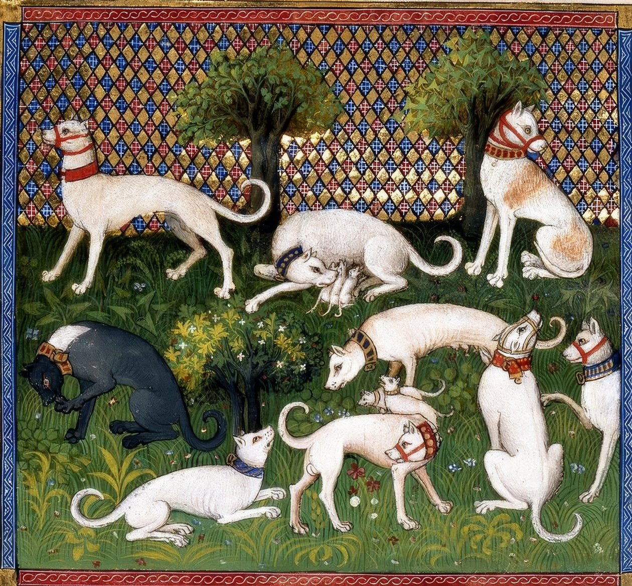 Jagdhunde (Alan) / Jagtens bog af Unbekannt