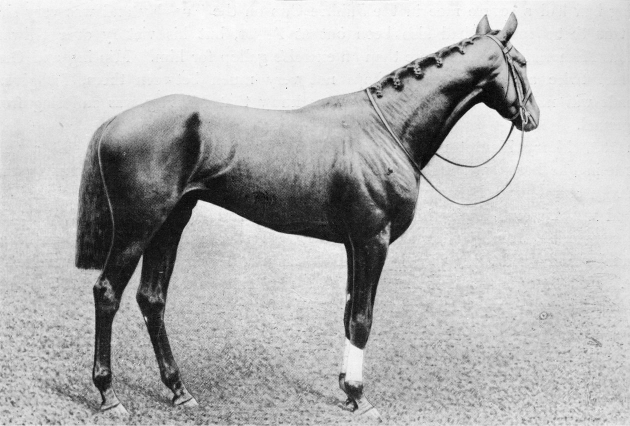 Jeddah, 1895-1909, 1911 af Unbekannt