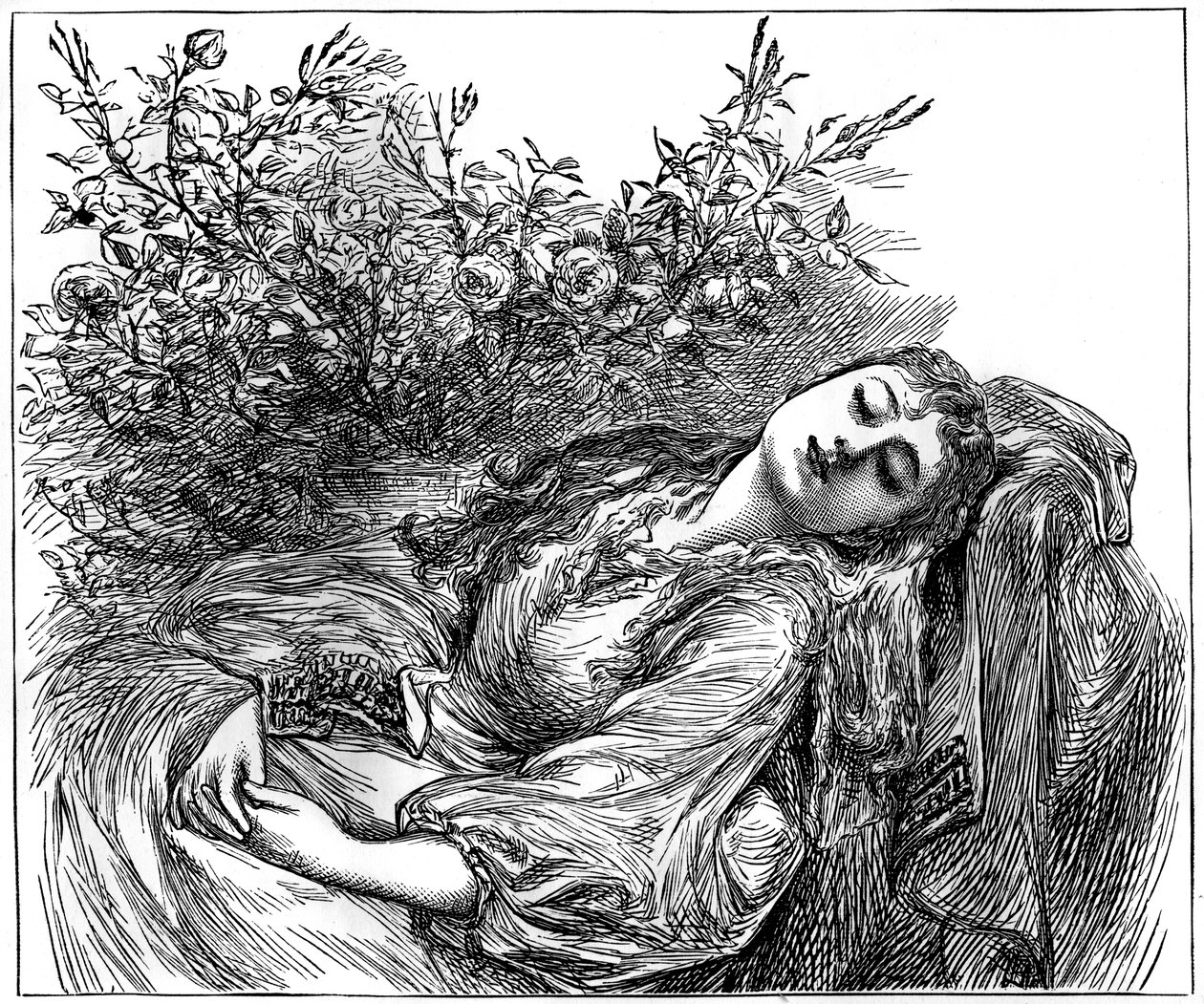 Julie, 1882 af Unbekannt