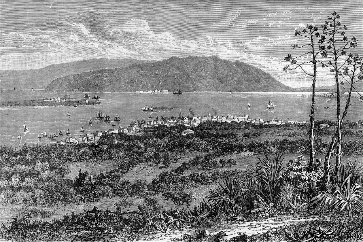 Kingston Harbour, Jamaica, c1880 af Unbekannt