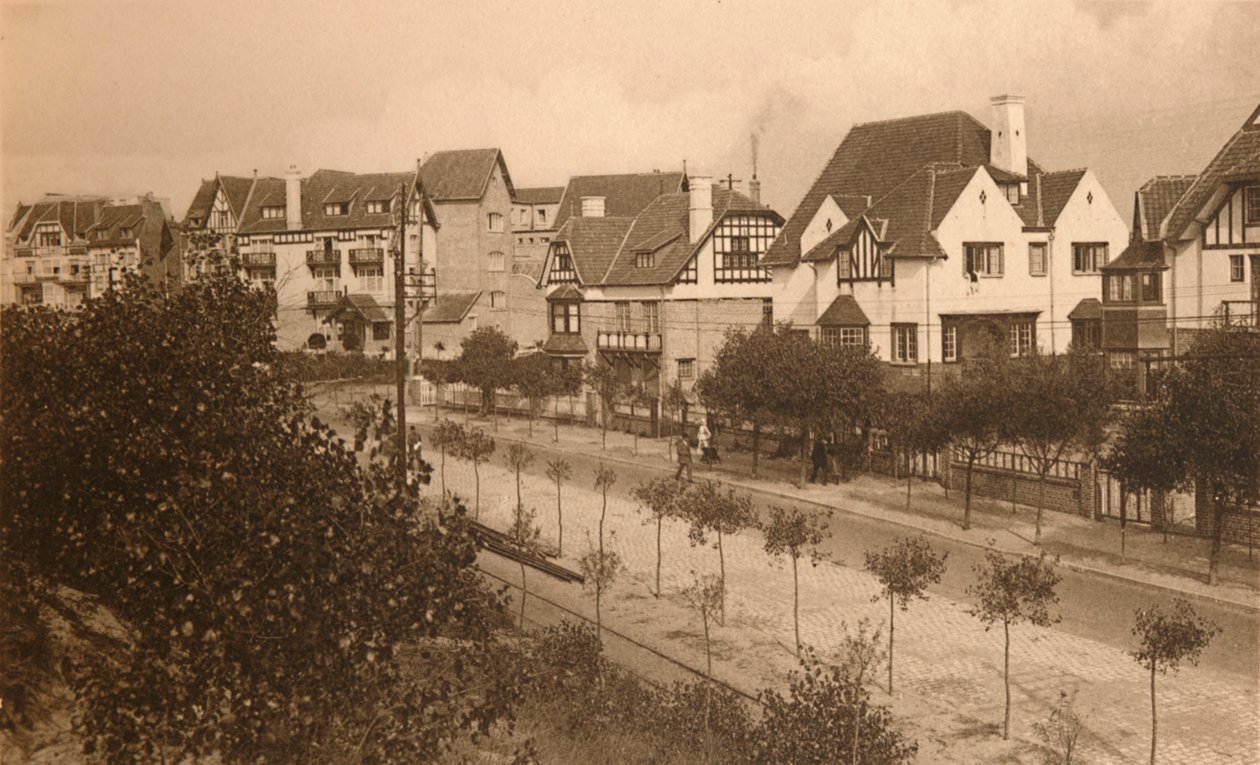 Elisabeth Avenue, c1900. af Unbekannt