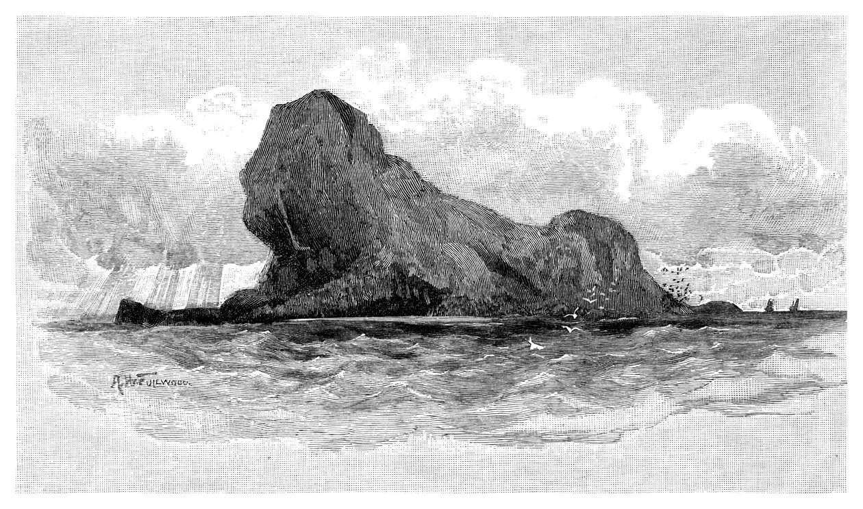 Lion Island, Australien, 1886 af Unbekannt