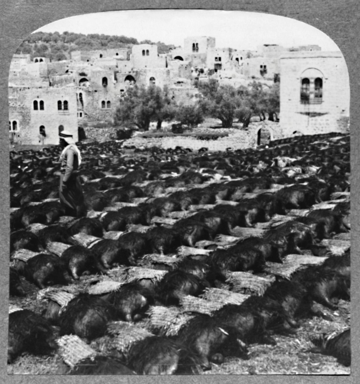 Fremstilling af vinflasker, Hebron, c1900 af Unbekannt
