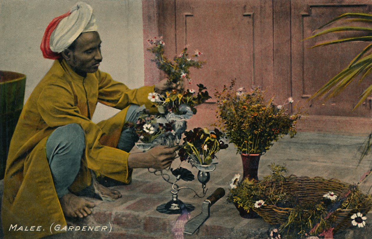 Malee. Gartner, c1910. af Unbekannt