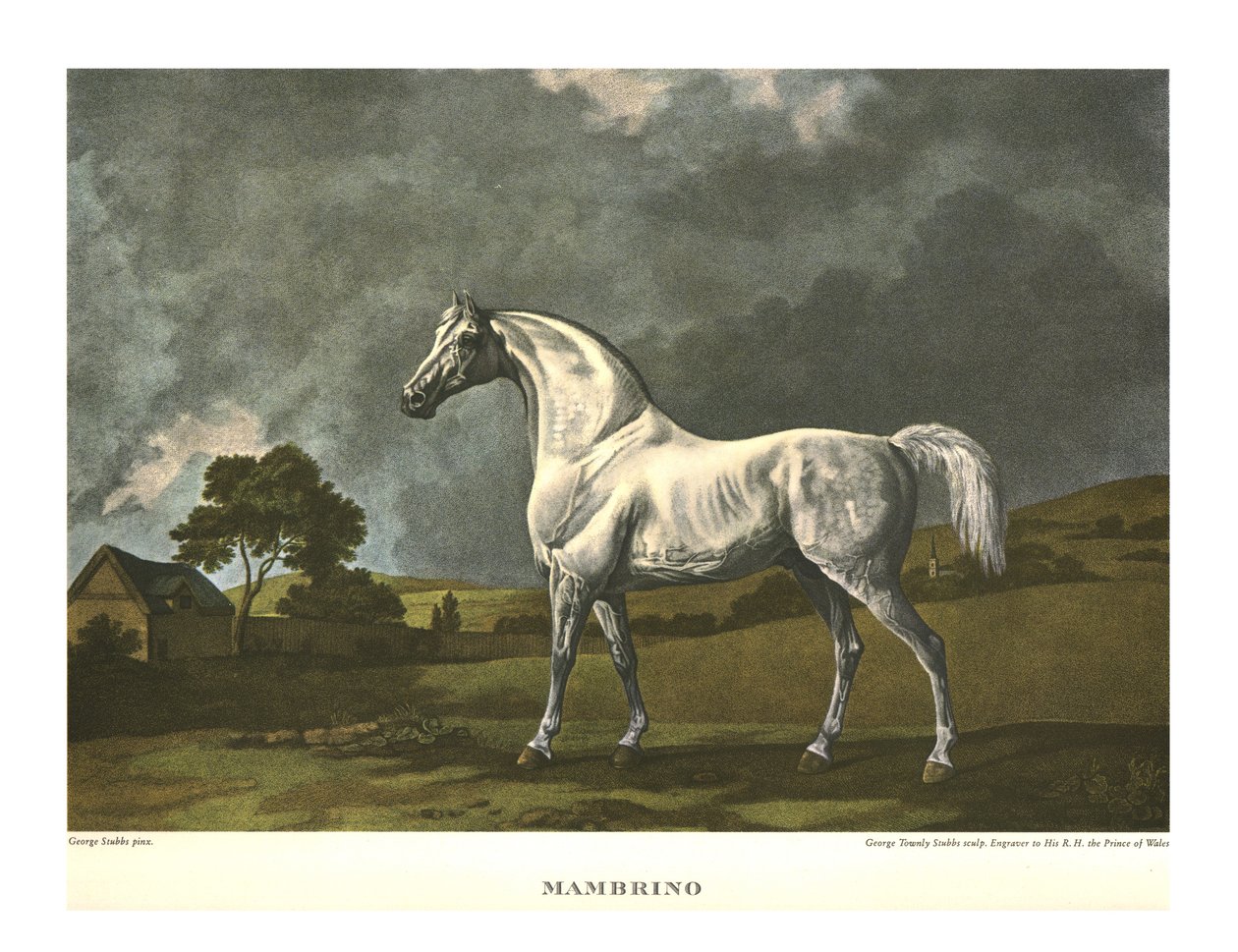 Mambrino, c1779, c1955. af Unbekannt