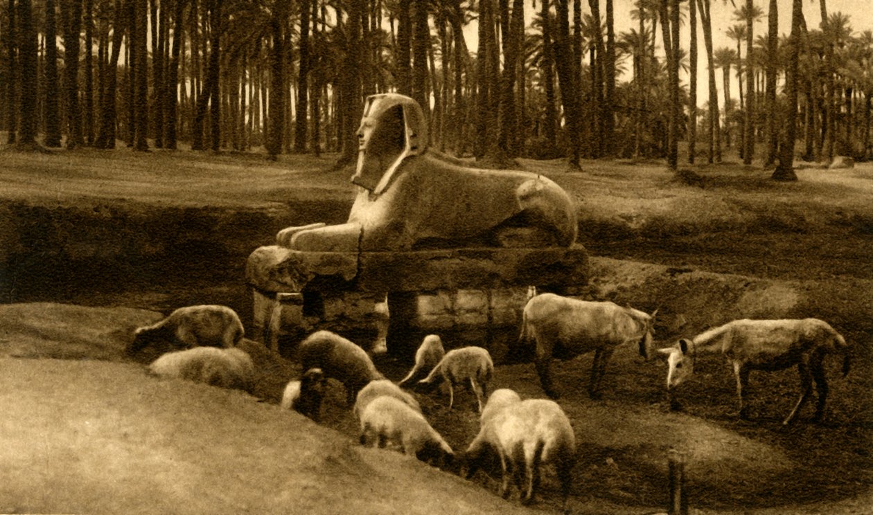 Memphis - Alabastersfinksen, c1918-c1939. af Unbekannt