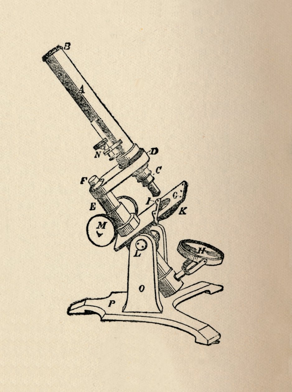Mikroskop, 1912 af Unbekannt