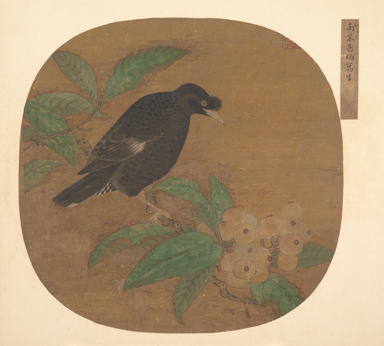 Minah Bird på en Loquat-gren. af Unbekannt