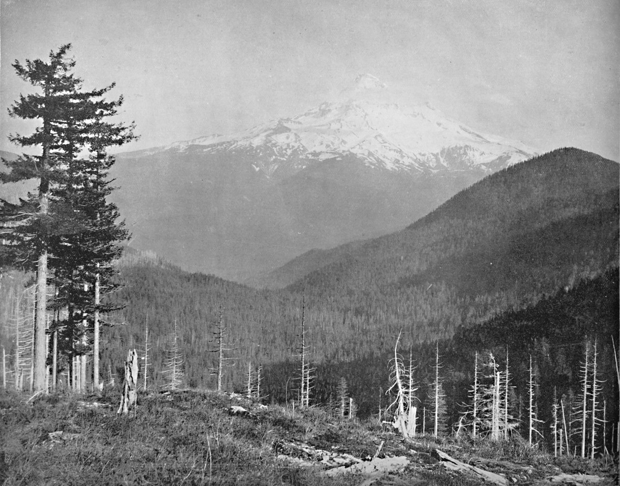 Mount Hood, Oregon, c1897. af Unbekannt