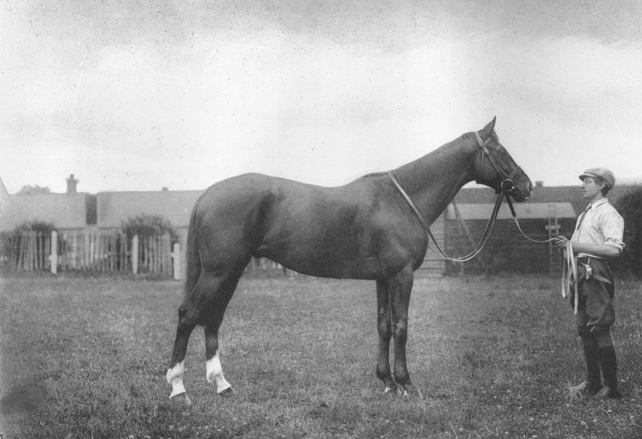 Mount Prospects Fortune, 1911 af Unbekannt