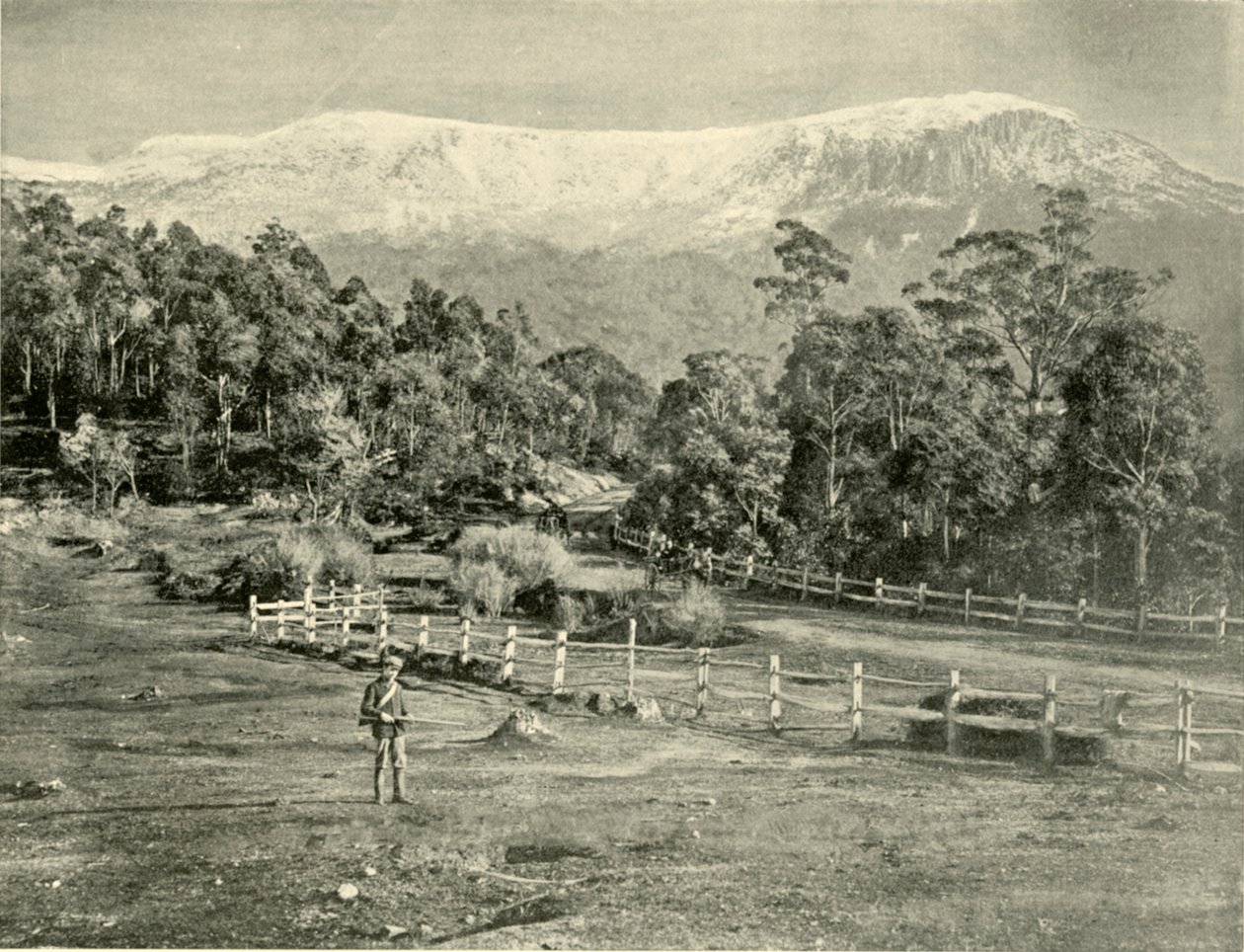 Mount Wellington, fra Huon Road, 1901. af Unbekannt