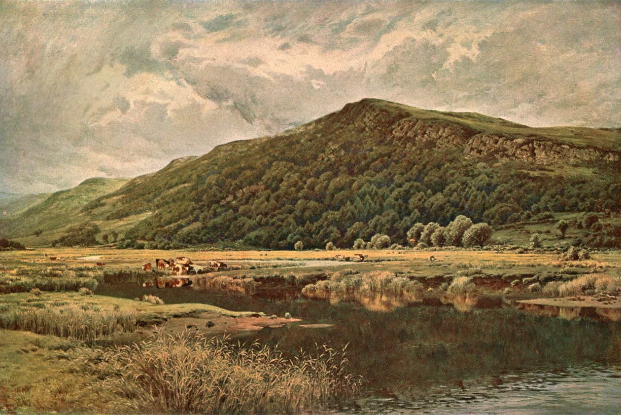 Naturens Spejl, 1882, c1902. af Unbekannt