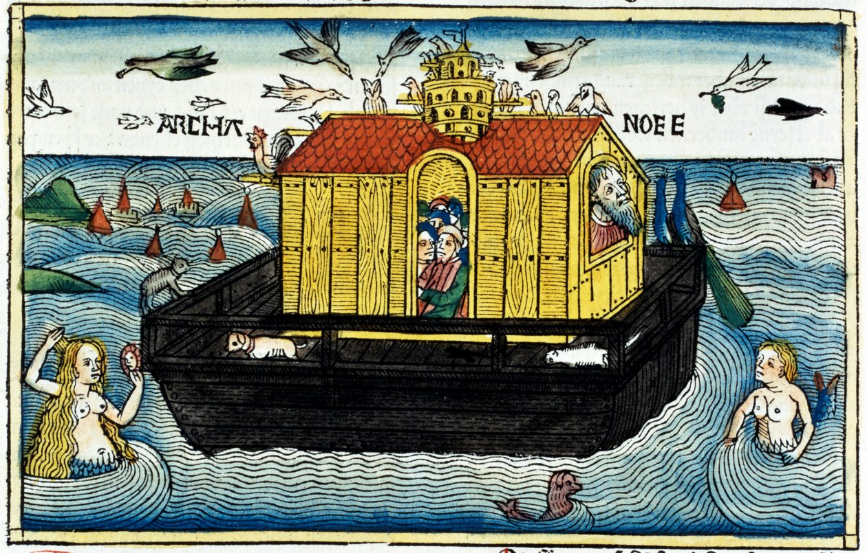 Noahs ark af Unbekannt
