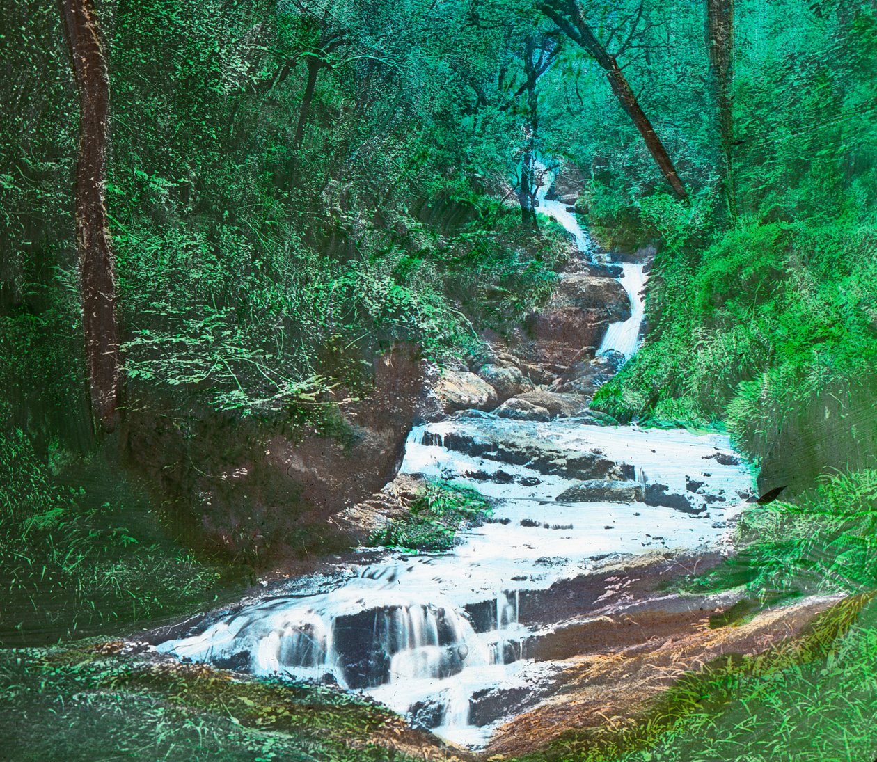 OSullivans Cascade, Killarney, c1910 af Unbekannt