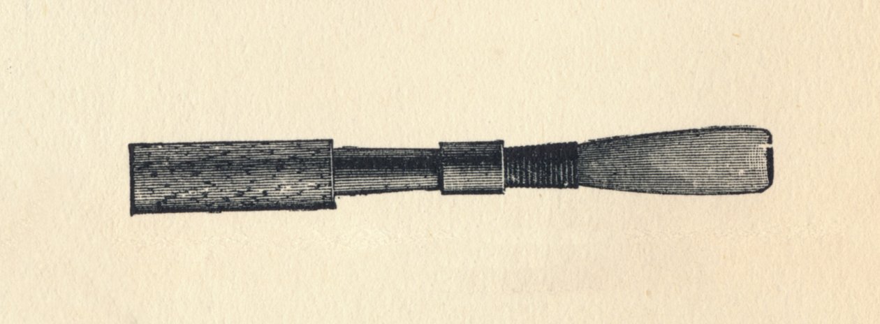 Husk Ray d, 1895. af Unbekannt